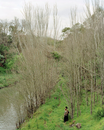 Crossing the Merri