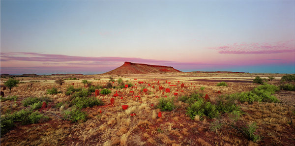 brumby mound