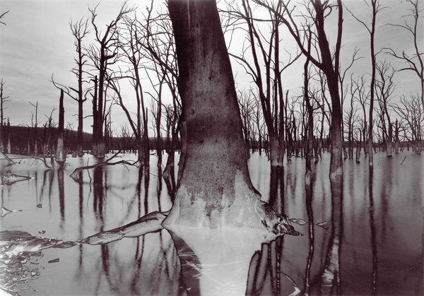 Drowned No. 115 (Lake Echo, Tasmania)